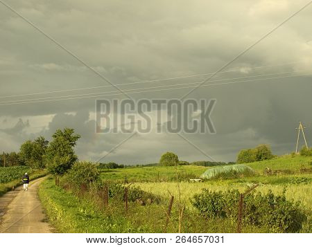 Storm In The Park With Strong Light