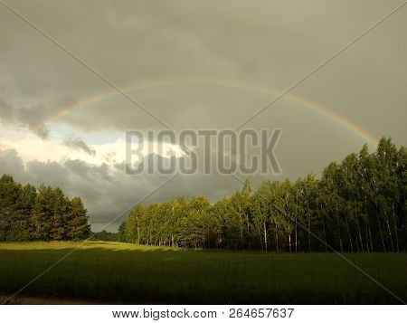 Storm In The Park With Strong Light