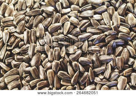 Black Sunflower Seeds Closeup Without Additional Food
