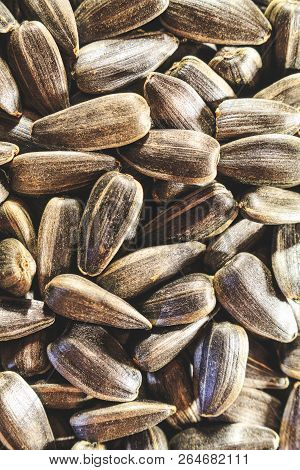 Black Sunflower Seeds Closeup Without Additional Food