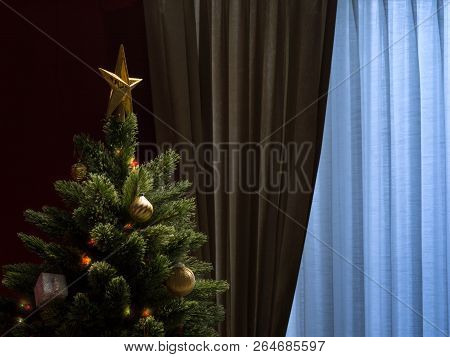 Fragment  Of Nice Decorated Christmas Tree On Winter Window  Back
