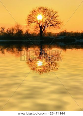 Guld Sunset