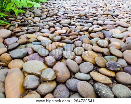 Stone Background On Surface In The Garden