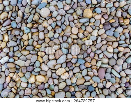 Stone Floor Backgroundon Surface In The Garden