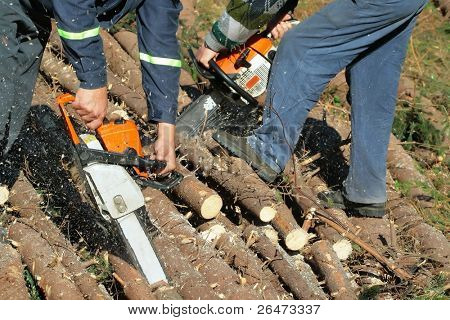 arbejde i skoven med power saw