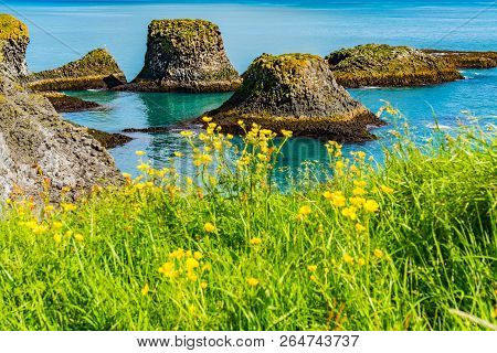 View Of Basalt Rocks Formation At The Coastline Of Atlantic Ocean At Arnarstapi Village In Iceland