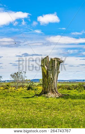 Indigenous Park, Maldonado Department, Uruguay