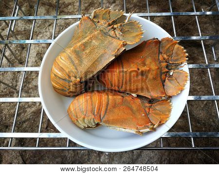 Stomatopods Seafood Barbecue On Beach