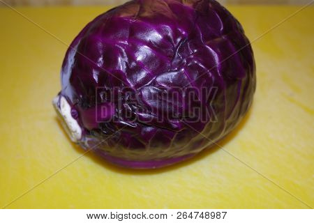 First Autumn Cabbage Harvest In The Garden