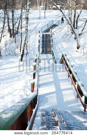 Winter Forest, Daytime, Landscape, Snow