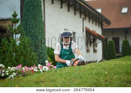 Professional Older Gardener In Uniform Cutting Bushes With Clippers And Looking At Camera. Worker, W