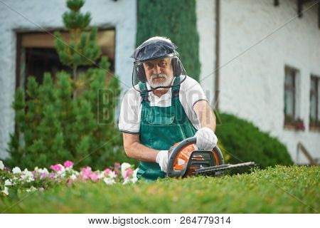 Adult Man Wearing In Green Overalls With Safety Mask And Protective Headphones Landscaping Bushes Wi