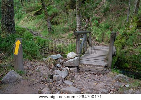 Camino De Santiago Trail Between Pola De Allande And Grandas De Salime, Asturias, Spain