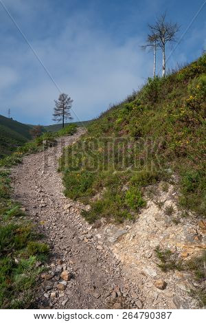 Camino De Santiago Trail Between Pola De Allande And Grandas De Salime, Asturias, Spain
