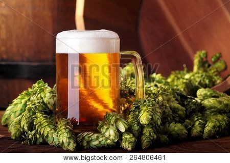 Beer .mug Of Beer.beer With Hops.advertising Of Beer.beer In Hops.