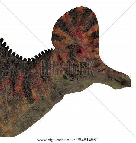 Corythosaurus Dinosaur Head 3d Illustration - Corythosaurus Was A Duck-billed Herbivorous Dinosaur T
