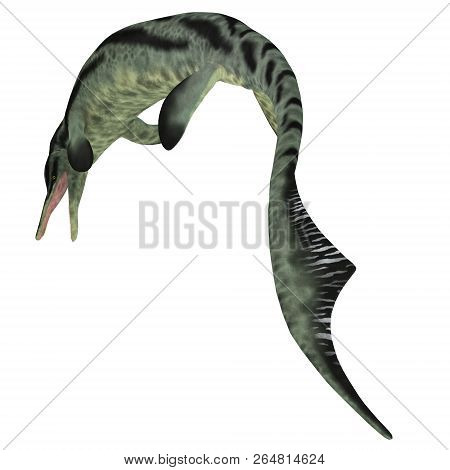 Cymbospondylus Ichthyosaur Tail 3d Illustration - Cymbospondylus Was An Ichthyosaur Carnivore That L