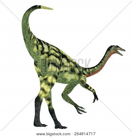 Deinocheirus Dinosaur Tail 3d Illustration - Deinocheirus Was A Carnivorous Theropod Dinosaur That L