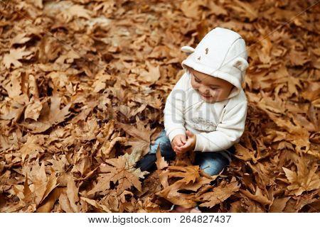 Cute little baby boy sitting on the graund in the forest and with pleasure playing with dry tree leaves, enjoying autumn nature