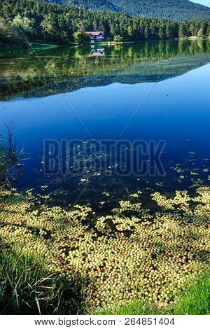 Golcuk National Park - Bolu, Turkey