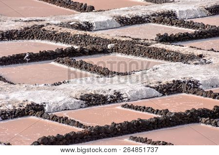 Picture Photo Of Salt Flats In The Canry Islands