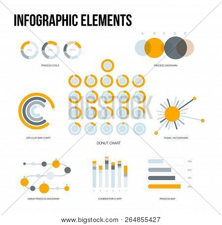 Ads Report Visualisation Inforgaphic Elements Vector Set. Gray, Brown, Pie Chart, Group Diagram, Rat