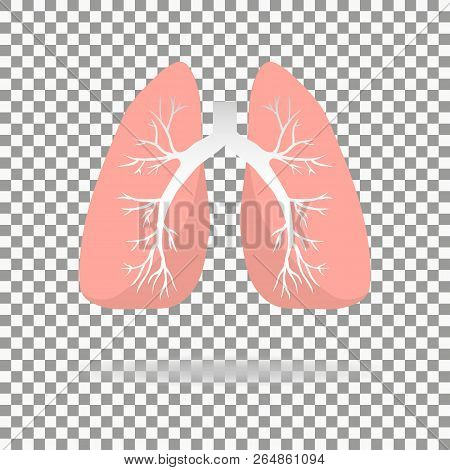 Lungs Icon, Flat Style. Internal Organs Of The Human Design Element, Logo. Anatomy, Medicine Concept