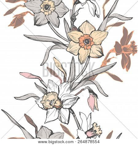 Floral Vertical Seamless Pattern With Hand Drawn Flowers Daffodils, Narcissus. Pastel Floral Element