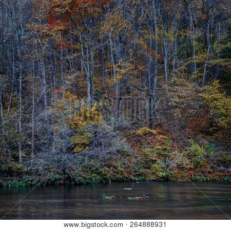 Puchkoriai Landscape Reserve. Golden Autumn Time Near Vilnia River