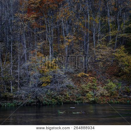 Puchkoriai Landscape Reserve. Golden Autumn Time Near Vilnia River