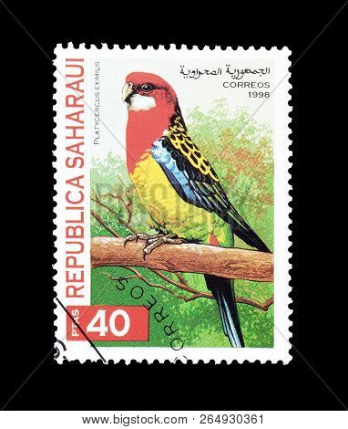 Republic Saharaui - Circa 1998 : Cancelled Postage Stamp Printed By Republic Saharaui, That Shows Th