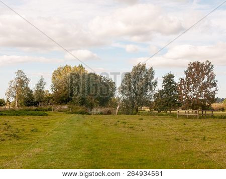 Dedham Summer Day Special Grassland Greenery Scene Landscape Nature Natural