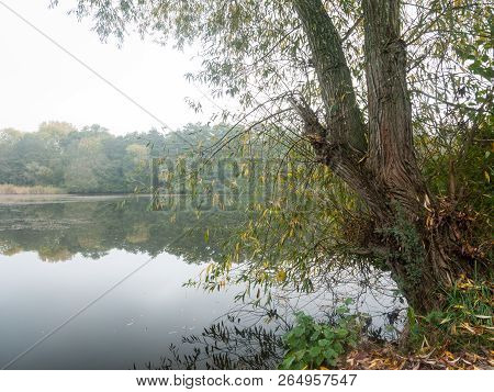 Clouds Over Lake Morning Sunrise Wivenhoe Special Scene Nature Landscape Trees Autumn Fall