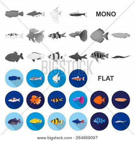 Bio And Ecology Flat Icons In Set Collection For Design. An Ecologically Pure Product Vector Symbol 