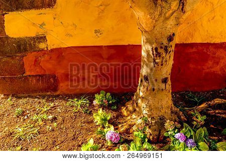 A Colorful Yellow Fort In Funchal - Maderia - Portugal