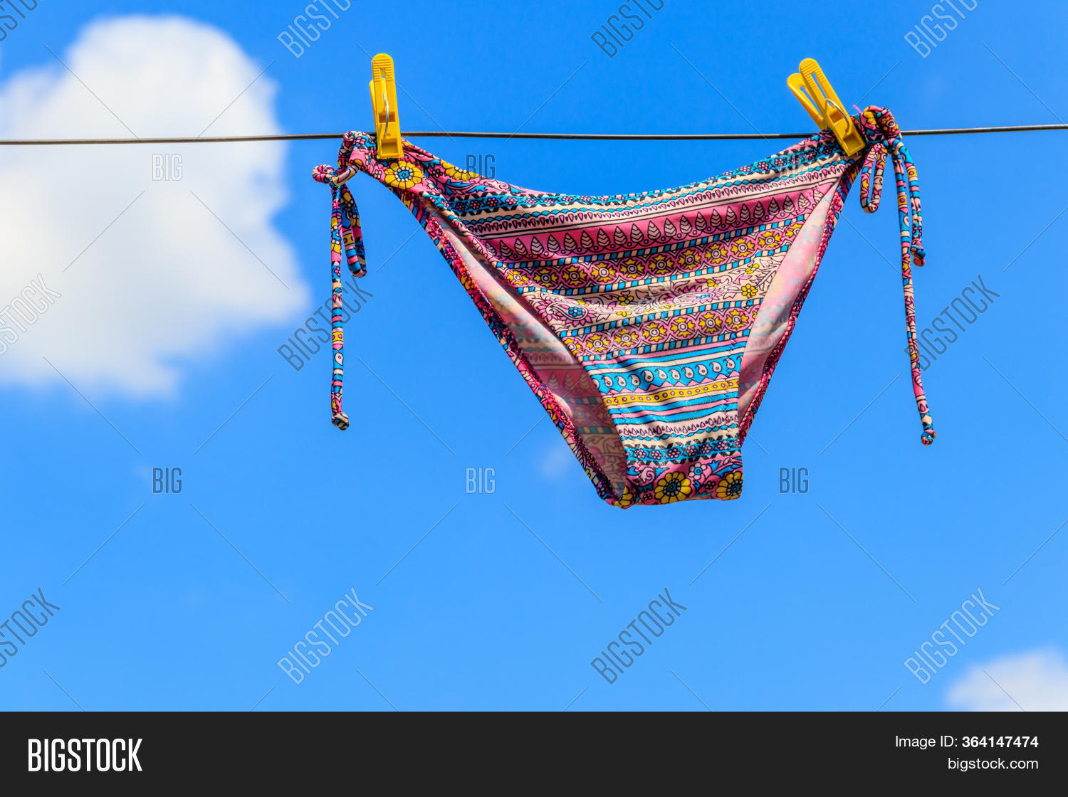 Drying Female Swimsuit Image & Photo (Free Trial) Bigstock