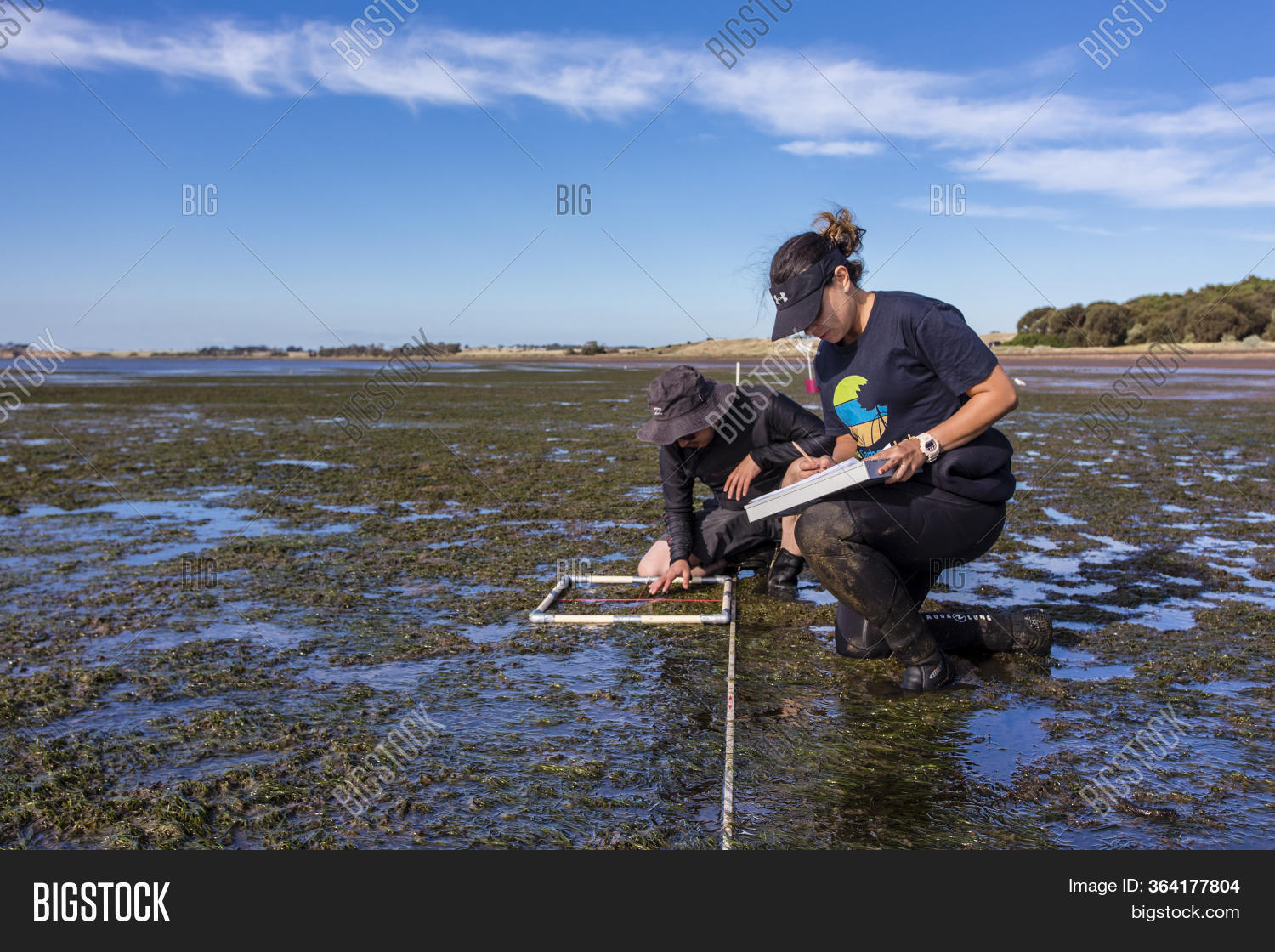 Bay, Victoria/ Image & Photo (Free Trial) Bigstock