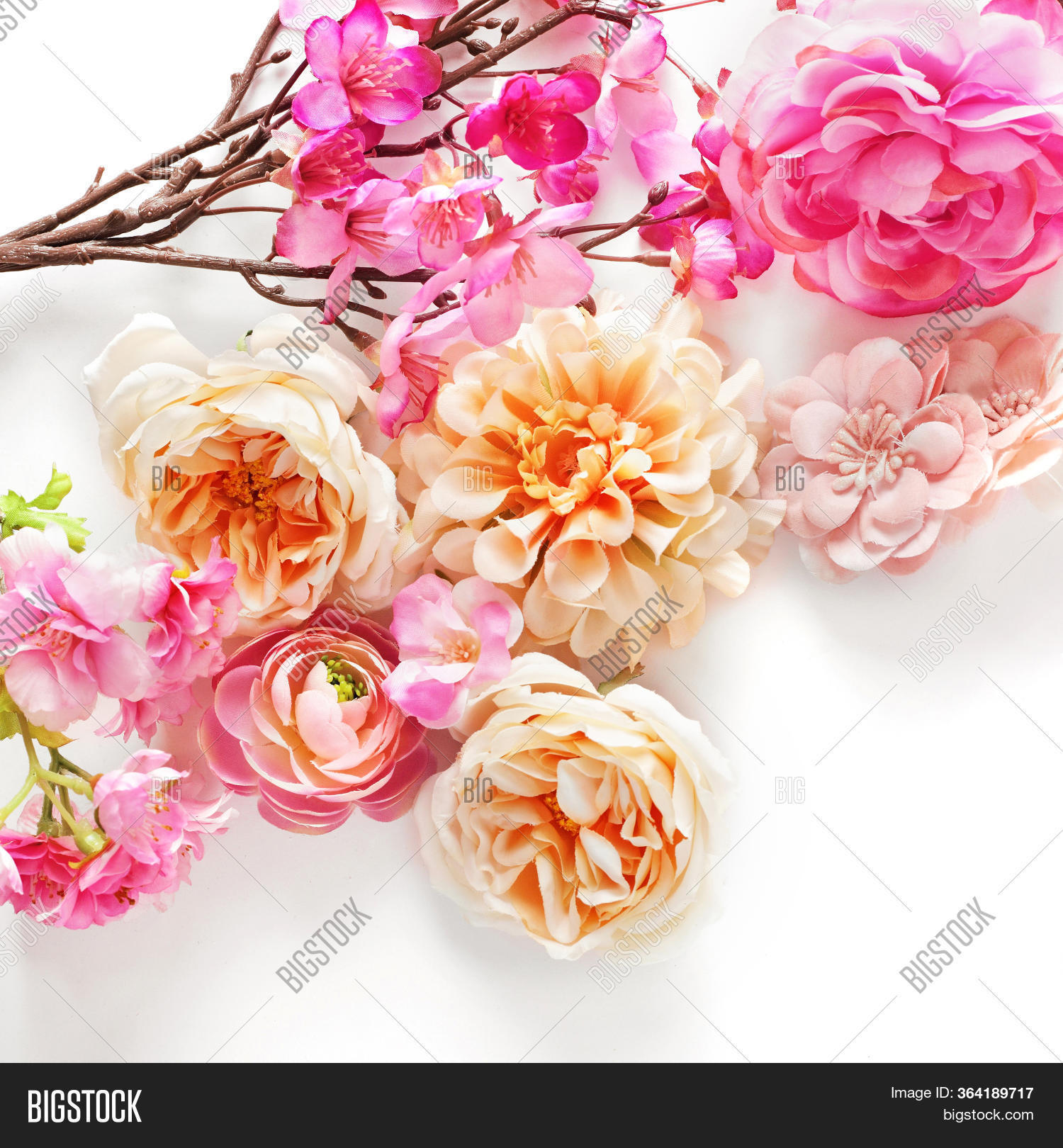 Pink Rose Flowers On Image Photo Free Trial Bigstock
