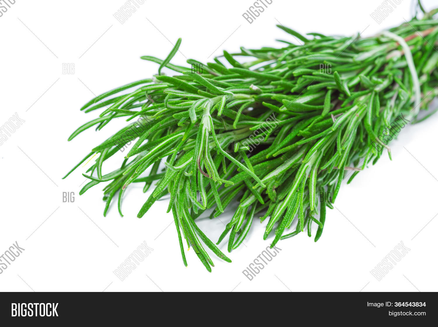 Fresh Rosemary Bunch Image & Photo (Free Trial) | Bigstock