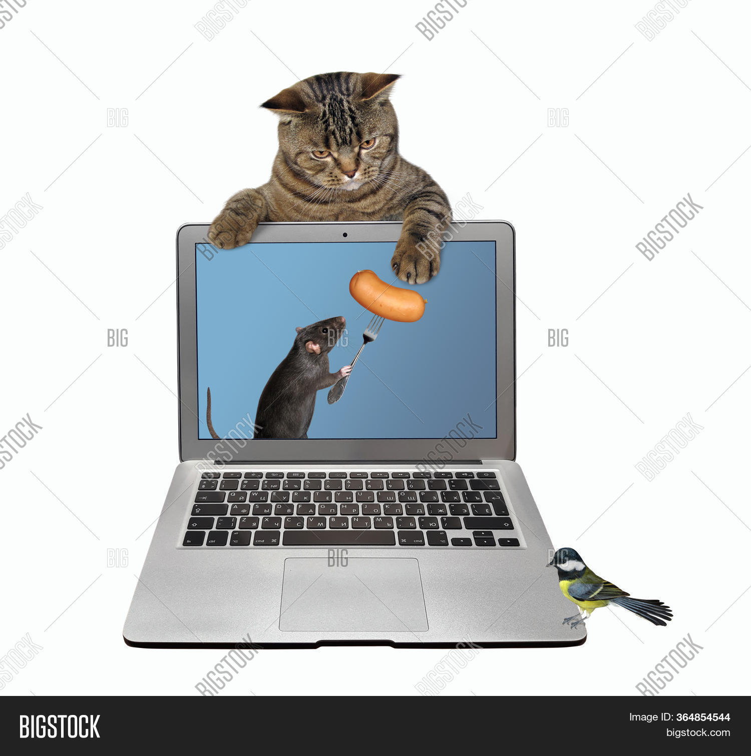 Black Rat Coming Out Image & Photo (Free Trial) Bigstock