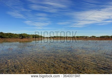 Feathery High Altitude Cloudscape Over Nine Mile Pond In Everglades National Park, Florida On Sunny 