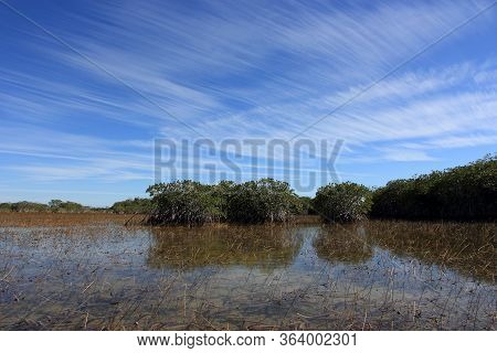 Feathery High Altitude Cloudscape Over Nine Mile Pond In Everglades National Park, Florida On Sunny 
