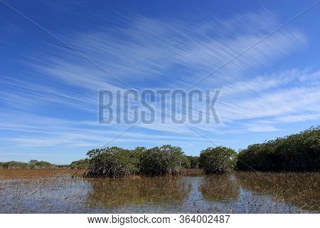 Feathery High Altitude Cloudscape Over Nine Mile Pond In Everglades National Park, Florida On Sunny 