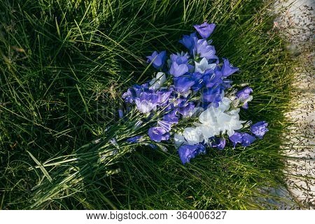 A Bouquet Of Blue-white Bell Flowers Lies On Green Grass