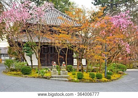 Kyoto, Jp - April 10 - Eikando Zenrinji Outdoor Garden On April 10, 2017 In Kyoto, Japan. Eikando Fo