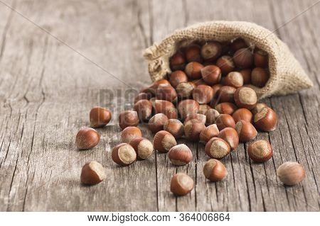 Hazelnuts, Filbert In Burlap Sack On Rustic Wooden Table. Heap Or Stack Of Hazel Nuts. Hazelnut Back