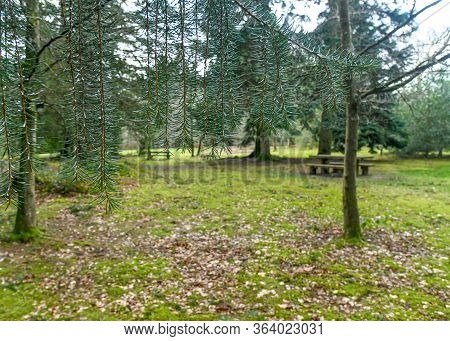 Empty Picnic Area In The Countryside
