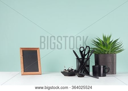Fresh Home Workspace With Black Stationery, Books, Coffee Cup,  Aloe House Plant, Photo Frame In Ele
