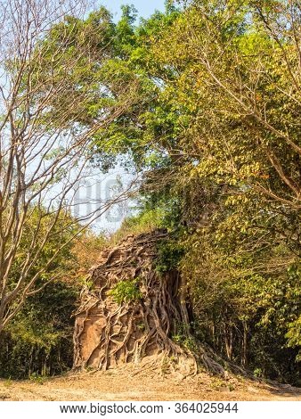 Overgrown Temple In Prasat Sambor - Sambor Prei Kuk, Cambodia