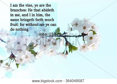 Bible Quote On Bloom Background. Inspiration Christian Text. I Am The Vine, Ye Are The Branches: He 